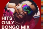 Pakua Hits Only Bongo Mix Ft Marioo Ndani Ya Mdundo