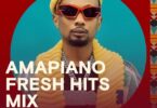 Download Amapiano Hits Mix ft Billnass Ndani ya Mdundo