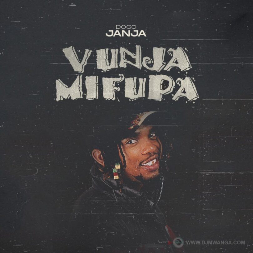 AUDIO | Dogo Janja – Vunja Mifupa | Download Mp3