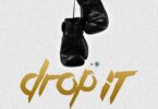 AUDIO | Ay Masta Ft Fid Q & YOUNG LUNYA – DROP IT | Download Mp3