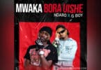 AUDIO: Ndaro Ft G boy - Mwaka Bora Uishe Mp3 Download