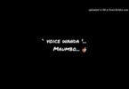 AUDIO: Voice Wonder - Maumbo Mp3 Download