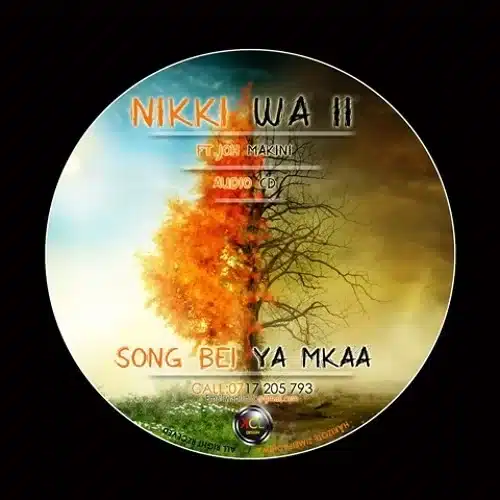 AUDIO: Nikki Wa Pili Ft joh Makini - Bei Ya Mkaa Mp3 Download