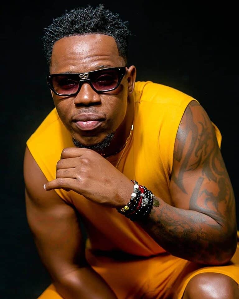 AUDIO: Nay Wa Mitego - Nyie Ni Nani Mp3 Download