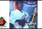 AUDIO: Dally Kimoko Ft Soukous Stars - Kin Night Mp3 Download