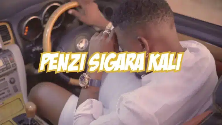 Twanga Pepeta - Penzi Sigara Kali