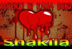 AUDIO: Bi Shakila - Mapenzi Ni Kama Donda Mp3 Download