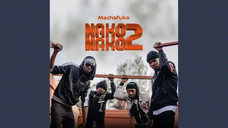 AUDIO: Nako 2 Nako - Machafuko Mp3 Download