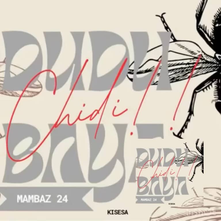 AUDIO: Dudu Baya - Chidi (Diss Track) Mp3 Download
