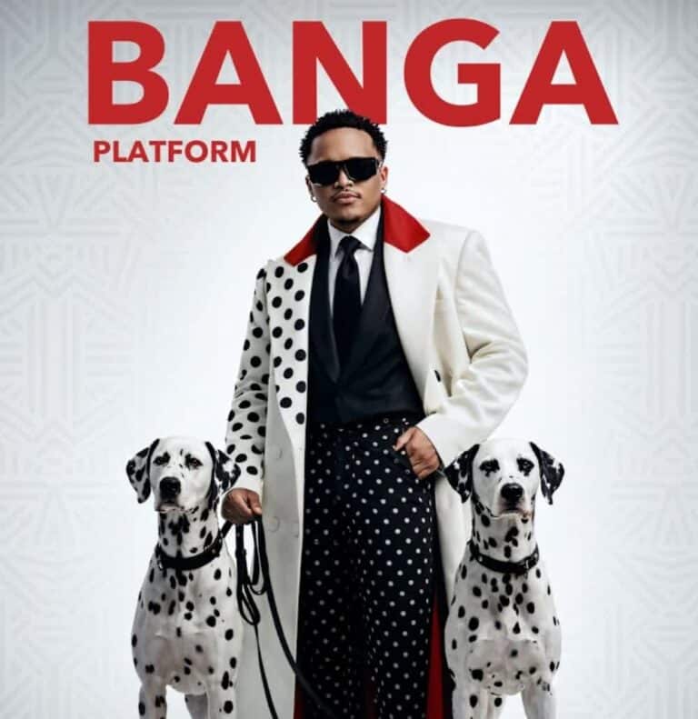 AUDIO: Platform - Banga Mp3 Download