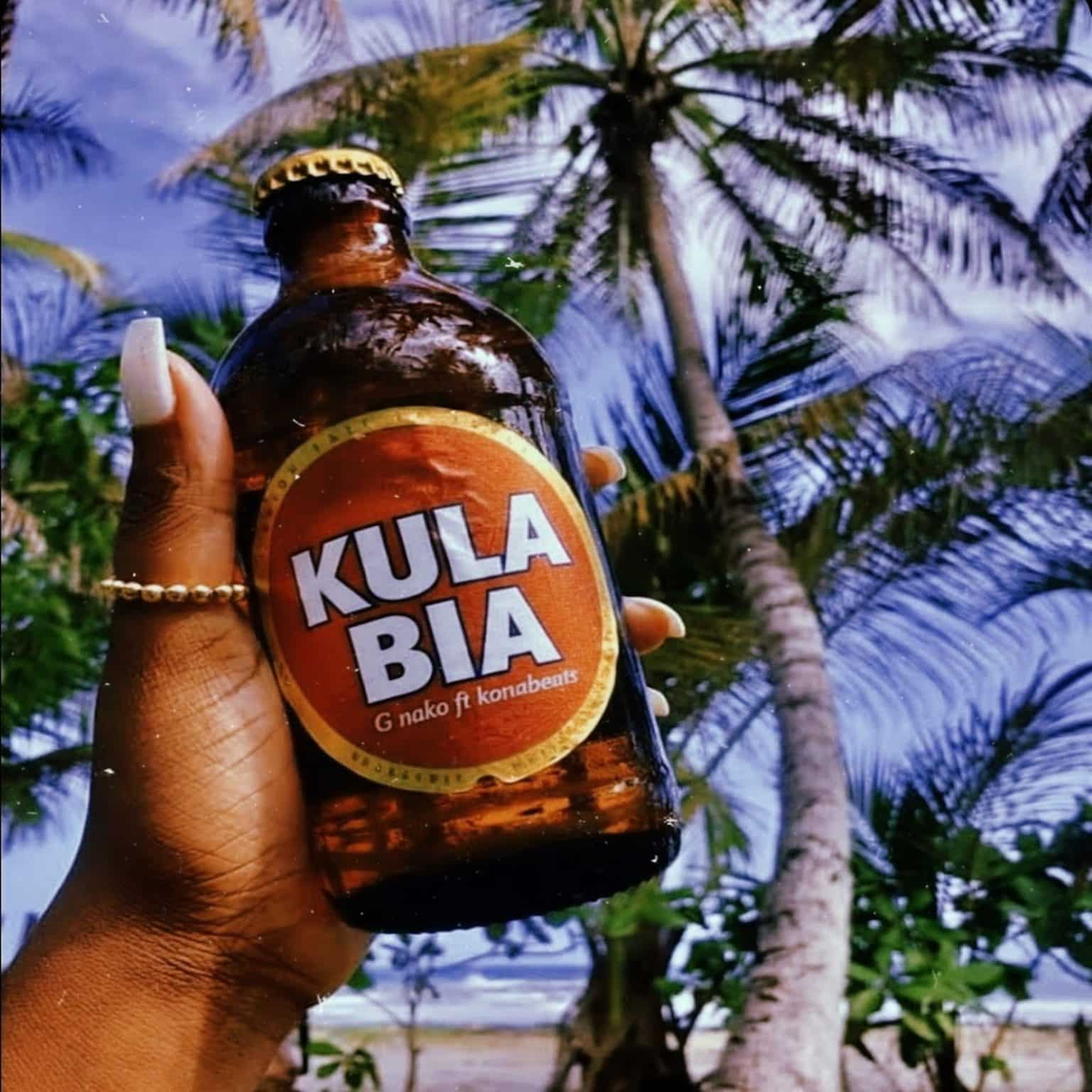 AUDIO: G Nako Ft Kona Beats - Kula Bia Mp3 Download