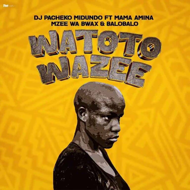 AUDIO: DJ Pacheko Midundo Ft Mama Amina X Mzee Wa Bwax X BaroBaro - Watoto Wazee Mp3 Download