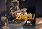 AUDIO: Saynag Ft Diamond Platnumz - Hisia Zangu Mp3 Download