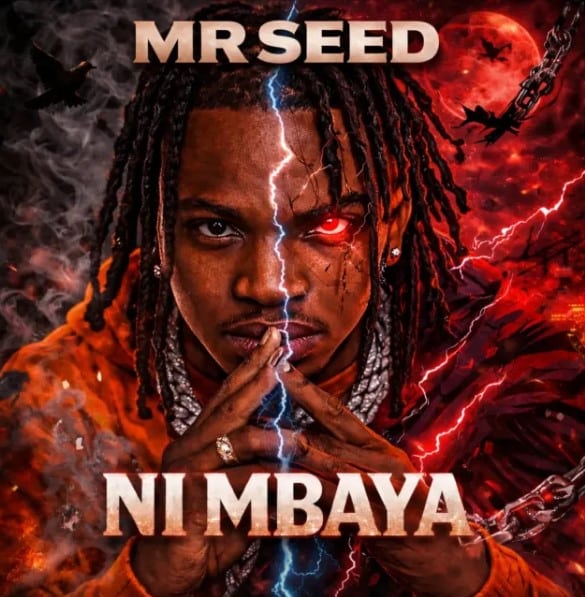 AUDIO: Mr Seed – Ni Mbaya Mp3 Download