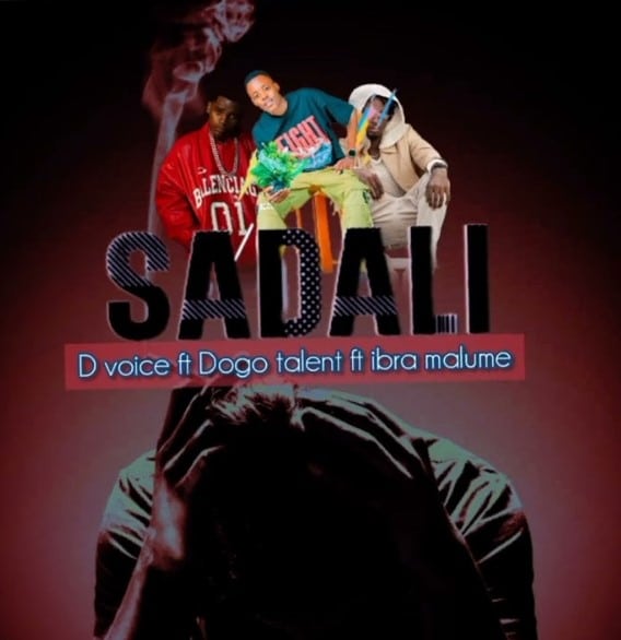 AUDIO: D Voice Ft Malume X Dogo Talent – Sadali Mp3 Download
