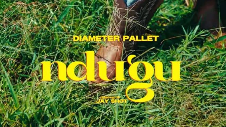 AUDIO: Diameter Pallet – Ndugu Mp3 Download