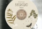 AUDIO: Micky Singer X Ndaro – Muziki Mp3 Download